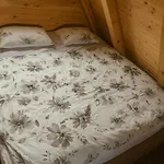Vakantiehuis Vikendica Litric